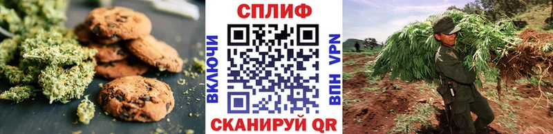MEGA Кунгур Cannafood марихуана