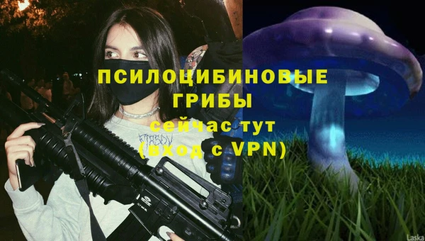 соль курить ск Беломорск